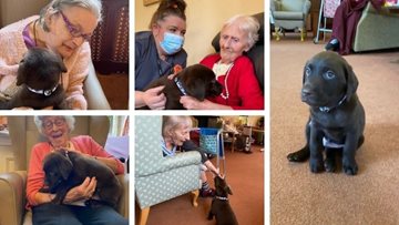 Dorset care home welcome new puppy